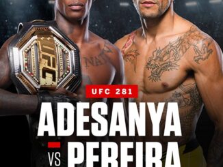 UFC 281 Adesanya Vs Pereira