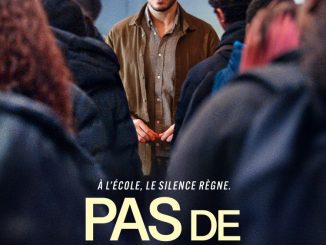 The Good Teacher (Pas De Vagues) (2024) MOVIE