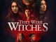 They Were Witches (2025) MOVIE